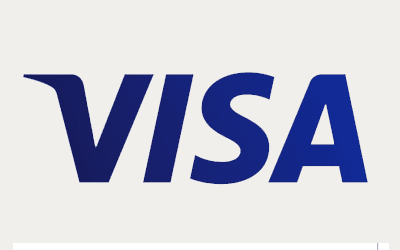 Visa logo payment option